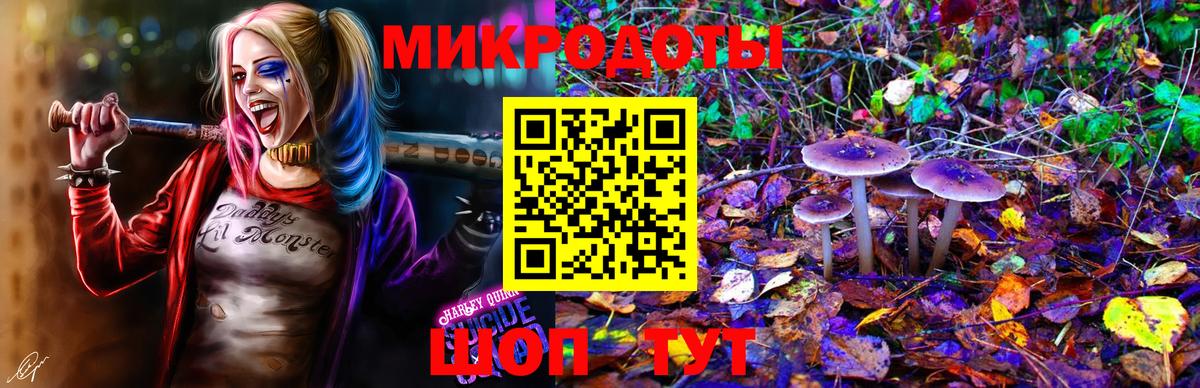 Псилоцибиновые грибы Magic Shrooms Каспийск