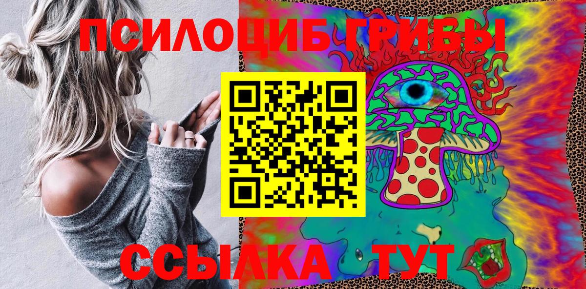 Каспийск  Псилоцибиновые грибы Psilocybine cubensis  Вход с VPN 